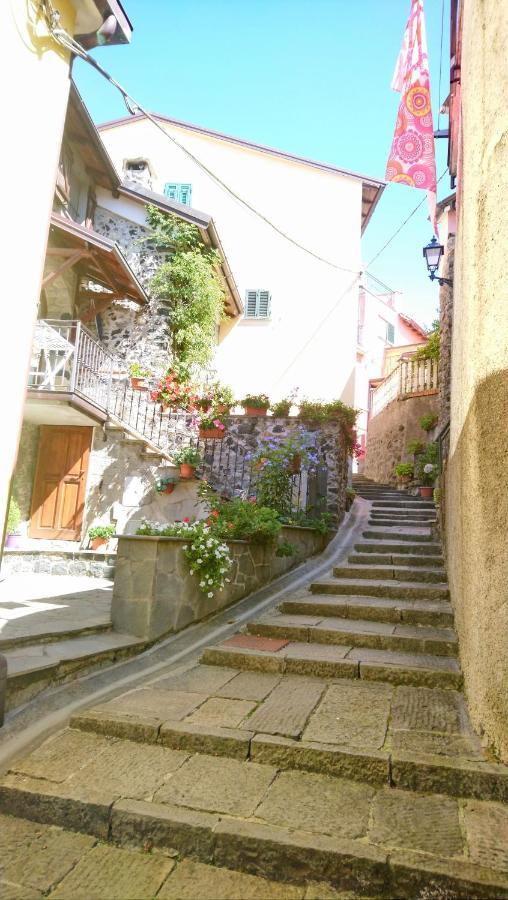 Casafiorita Villa Mattarana Екстериор снимка